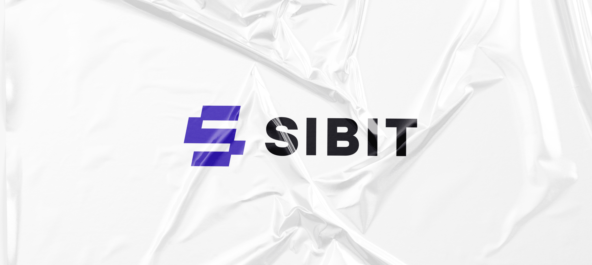 Логотип Sibit